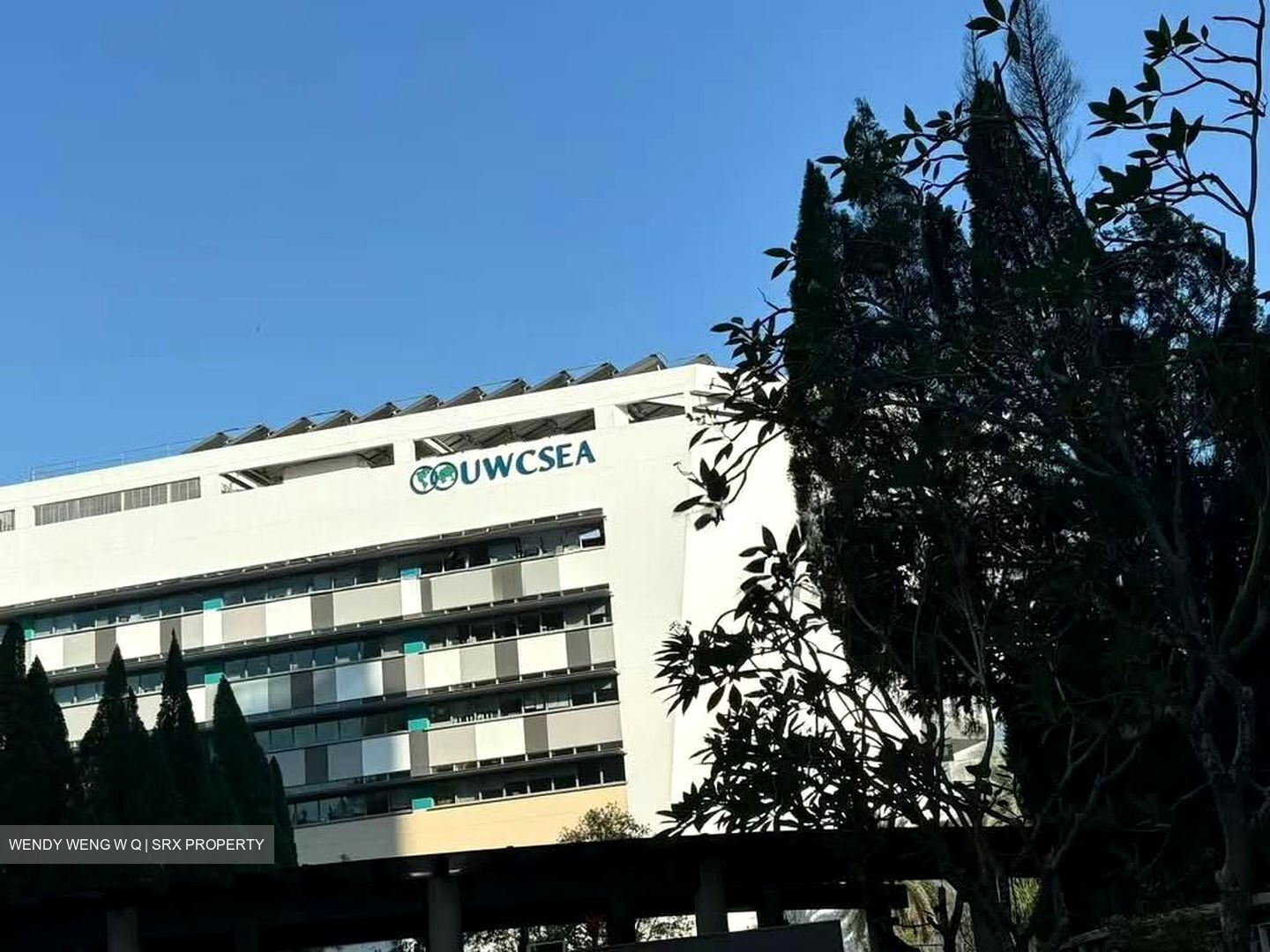 Pinevale (D18), Condominium #588853641